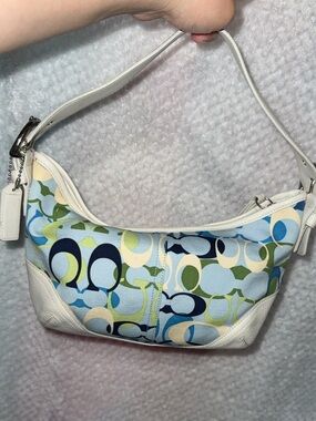 RARE BLUE,green optic coach hobo bag